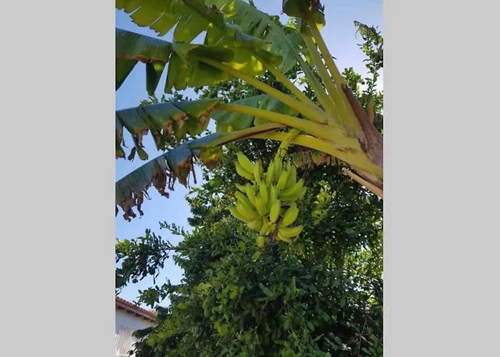 Appartement Casa Rustica 2