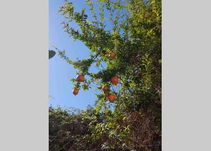 Casa Rustica 2 Appartement *