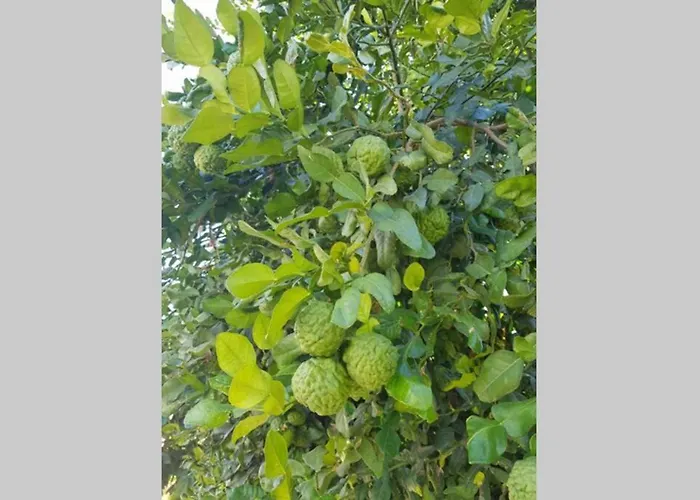 Casa Rustica 2 * Torremolinos