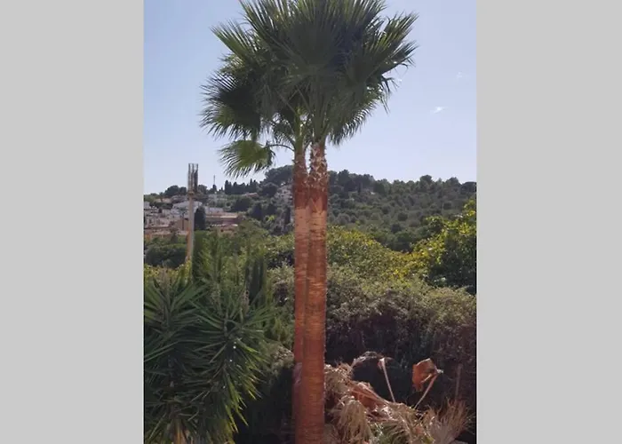 Casa Rustica 2 * Torremolinos