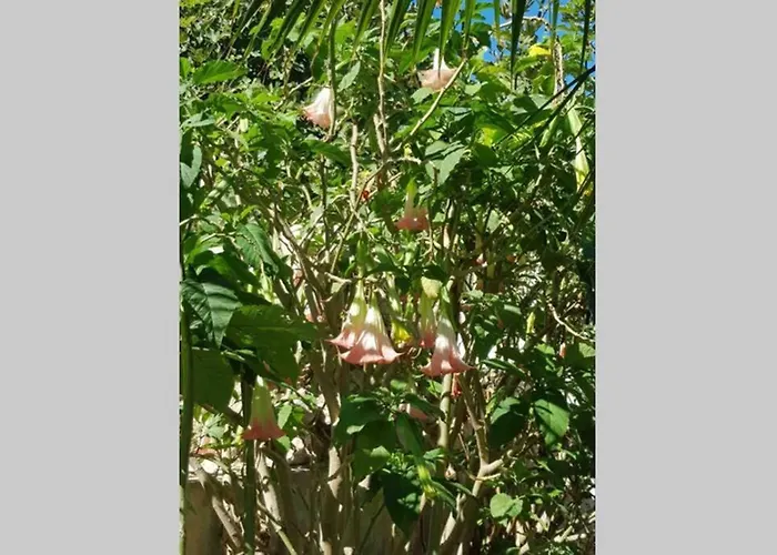 Casa Rustica 2 Lägenhet